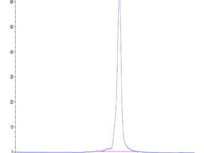 Biotinylated Human HLA-A*03