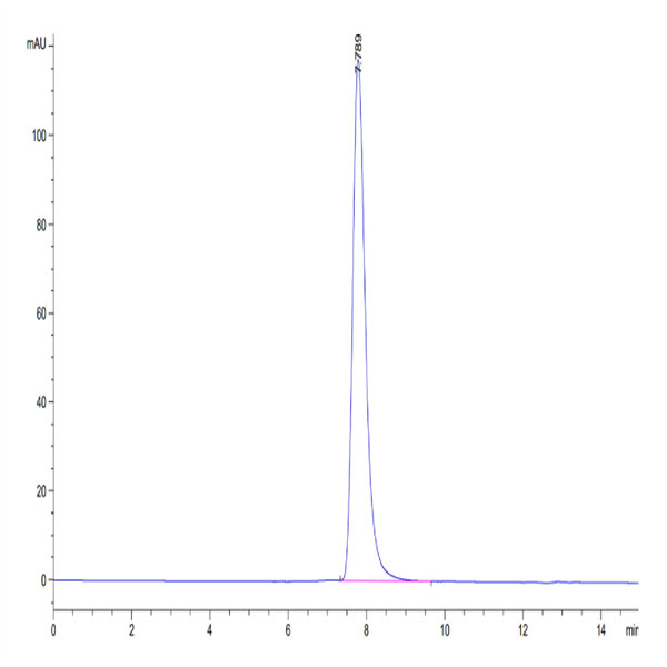 Human HLA-A*03