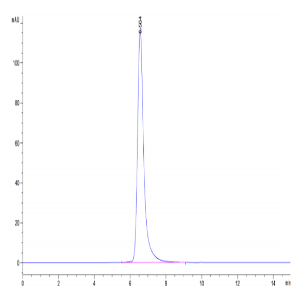 Human HLA-A*02