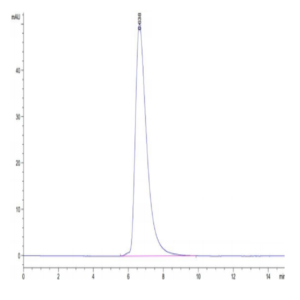 Human HLA-A*01