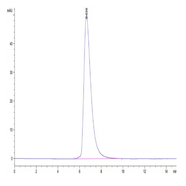 Human HLA-A*01 Human HLA-A*01