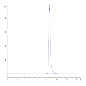 Human HLA-A*01