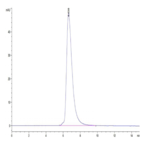 Human HLA-A*01