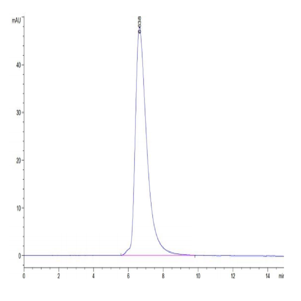 Human HLA-A*01 Human HLA-A*01