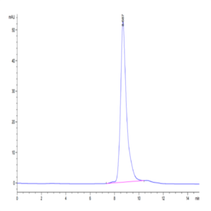 Human HLA-A*01