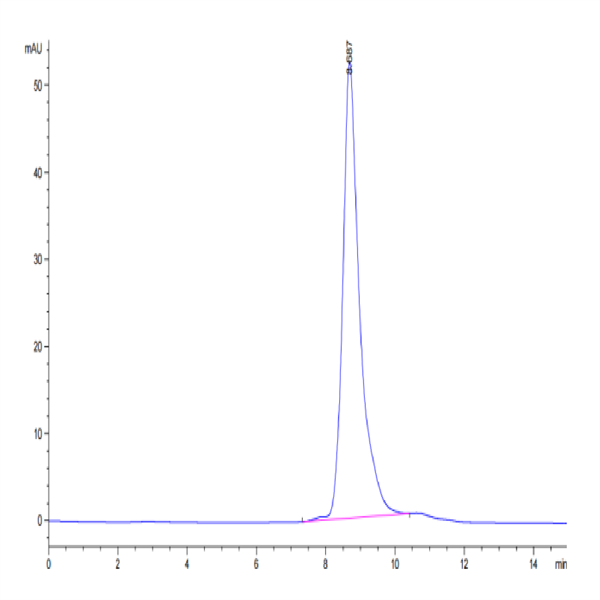 Human HLA-A*01 Human HLA-A*01