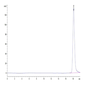 Human HLA-A*11