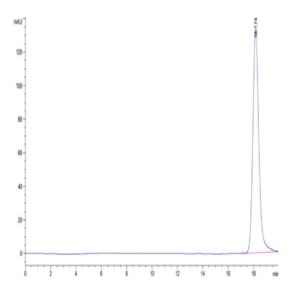 Human HLA-A*11 Human HLA-A*11