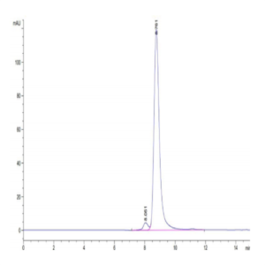Human HLA-A*11