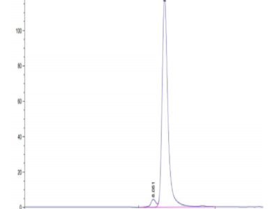 Human HLA-A*11