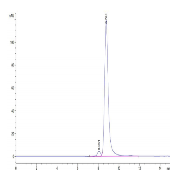 Human HLA-A*11