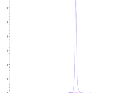 Human Peptide Ready HLA-E*01