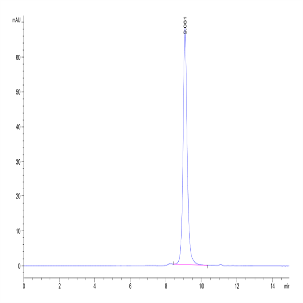 Human Peptide Ready HLA-E*01