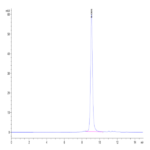 Biotinylated Human Peptide Ready HLA-E*01