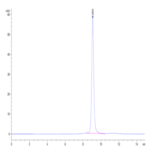 Biotinylated Human Peptide Ready HLA-E*01