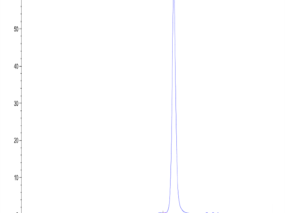 Biotinylated Human Peptide Ready HLA-E*01