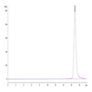 Human HLA-A*24