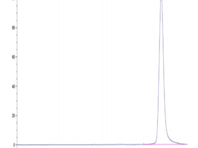 Human HLA-A*24