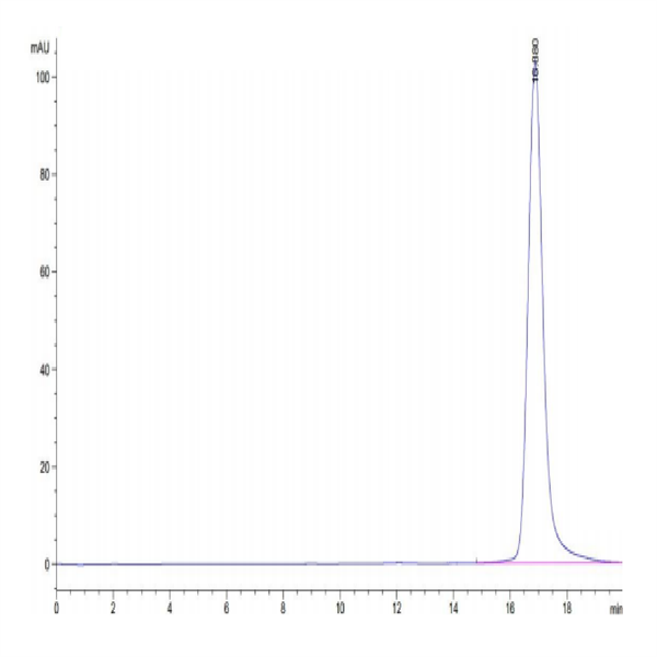 Human HLA-A*24 Human HLA-A*24