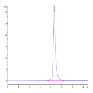Biotinylated Human HLA-A*24