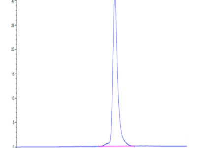 Biotinylated Human HLA-A*24