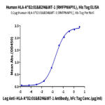 Human HLA-A*02