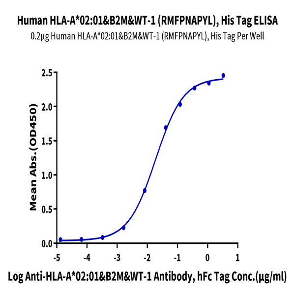 Human HLA-A*02