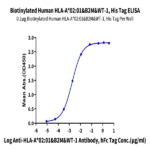 Biotinylated Human HLA-A*02
