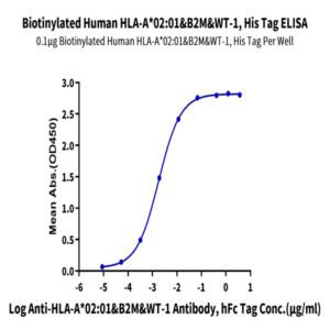 Biotinylated Human HLA-A*02