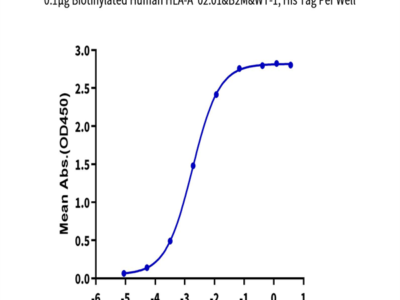 Biotinylated Human HLA-A*02