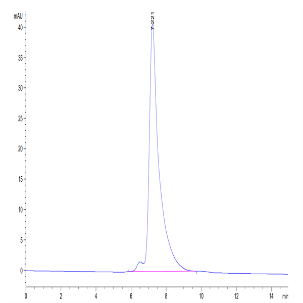 Biotinylated Human HLA-A*02