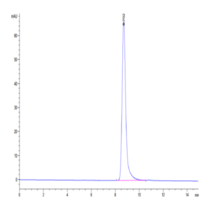 Human HLA-A*02