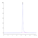 Biotinylated Human HLA-A*02