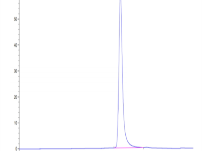 Biotinylated Human HLA-A*02