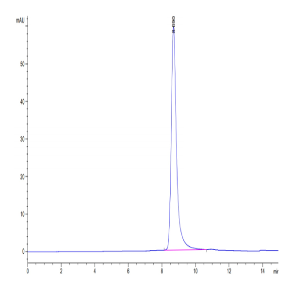 Biotinylated Human HLA-A*02 Biotinylated Human HLA-A*02