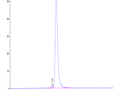 Human HLA-A*02