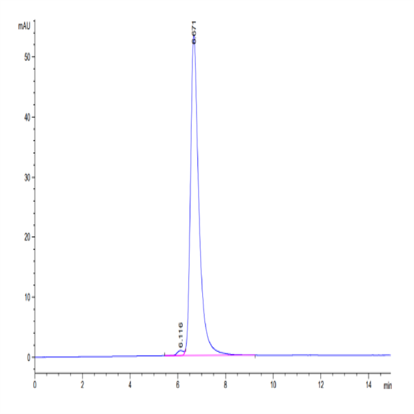 Human HLA-A*02 Human HLA-A*02