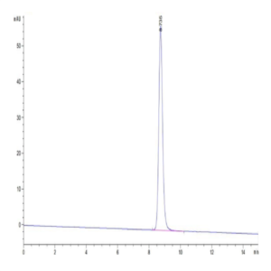 Human HLA-A*24