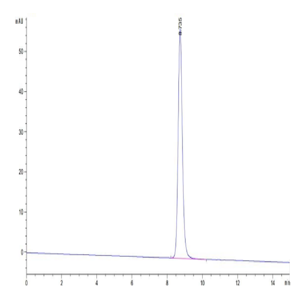 Human HLA-A*24 Human HLA-A*24