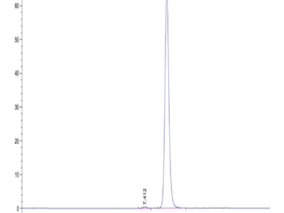 Biotinylated Human HLA-A*24