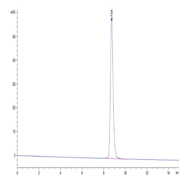 Human HLA-A*24