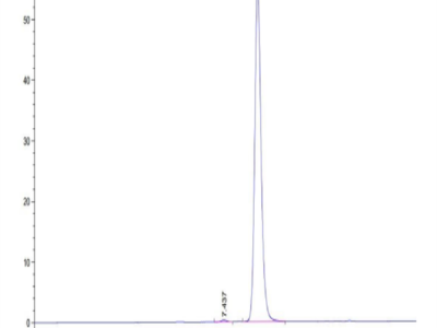 Biotinylated Human HLA-A*24