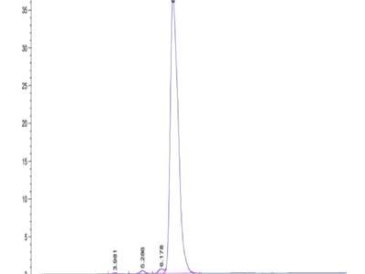 Human HLA-A*24