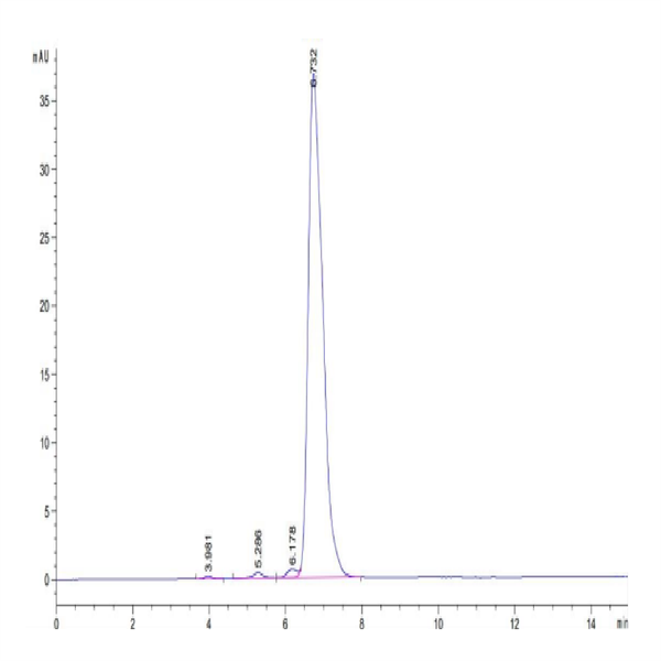 Human HLA-A*24