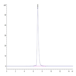 Human HLA-A*02