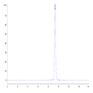 Human HLA-C 03