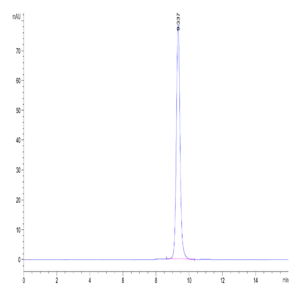 Human HLA-C 03
