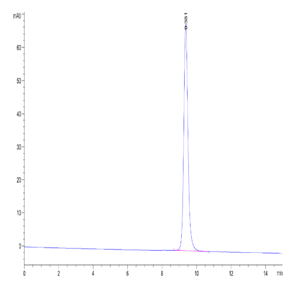 Biotinylated Human HLA-C*03 Biotinylated Human HLA-C*03