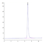 Human HLA-C*03