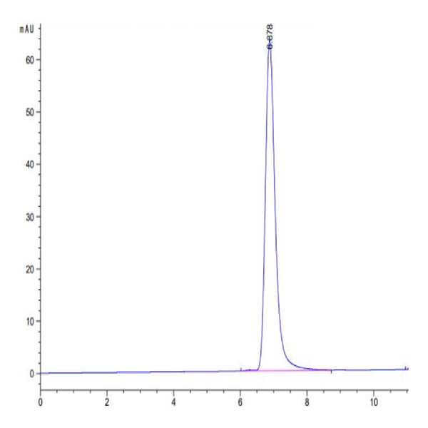 Human HLA-C*03 Human HLA-C*03